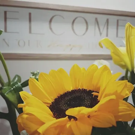 Navona Sweet Apartament